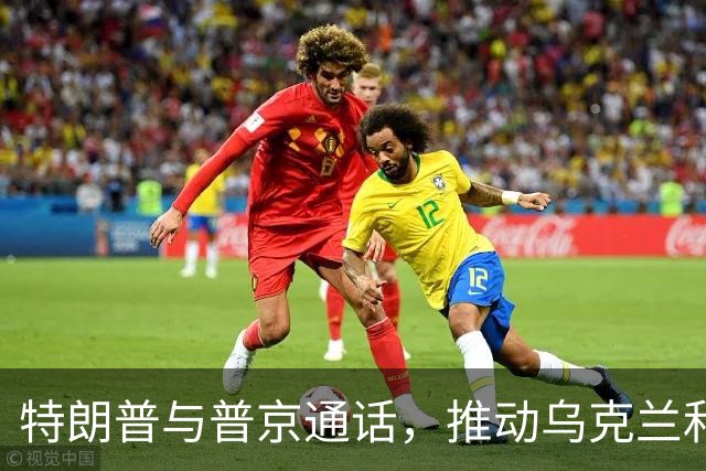 特朗普与普京通话，推动乌克兰和平进程的合力施压
